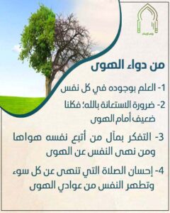 الثبات